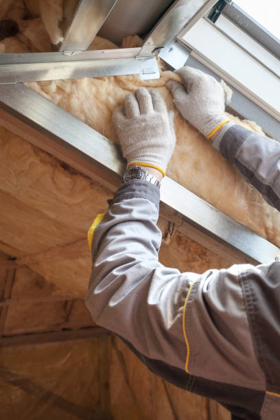Best Insulation Repair Services  in Union, SC