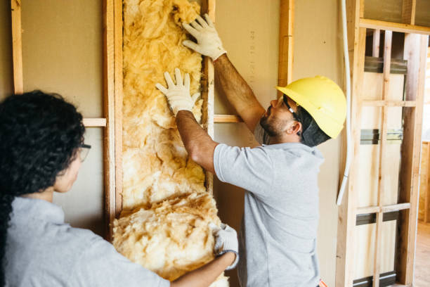 Best Local Insulation Services  in Union, SC
