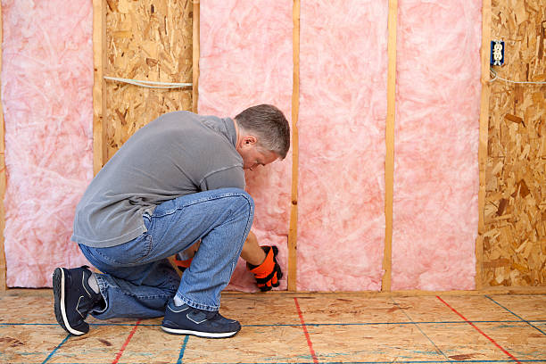 Best Insulation Contractors for Homes  in Union, SC