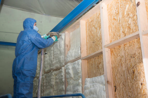 Best Energy-efficient Insulation  in Union, SC