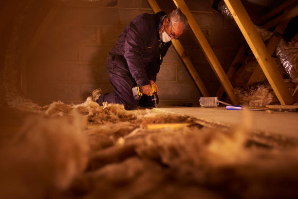 Insulation Replacement Services in Union, SC